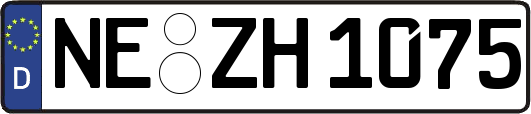 NE-ZH1075