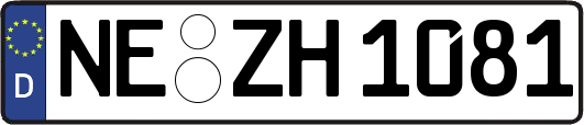 NE-ZH1081