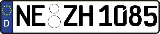 NE-ZH1085
