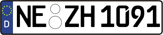 NE-ZH1091