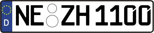 NE-ZH1100