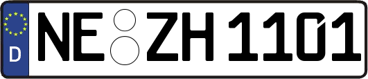 NE-ZH1101