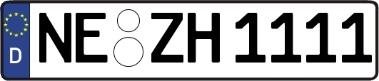 NE-ZH1111