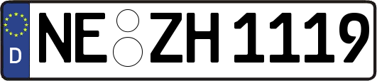 NE-ZH1119
