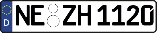 NE-ZH1120