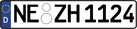 NE-ZH1124