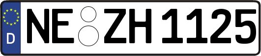 NE-ZH1125