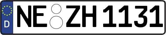 NE-ZH1131
