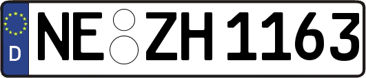 NE-ZH1163