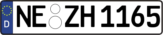 NE-ZH1165