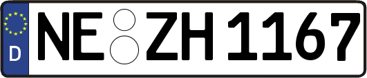 NE-ZH1167