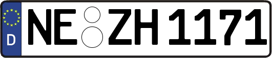 NE-ZH1171