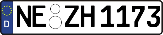 NE-ZH1173