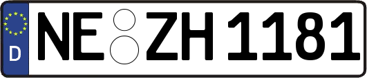 NE-ZH1181