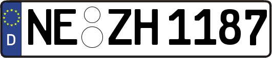 NE-ZH1187