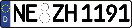 NE-ZH1191
