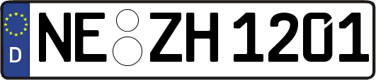 NE-ZH1201