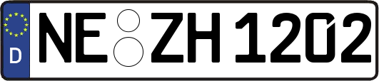 NE-ZH1202