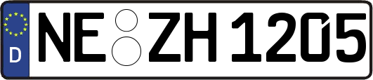 NE-ZH1205