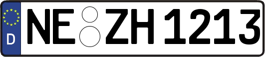 NE-ZH1213