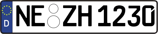 NE-ZH1230