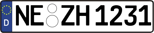 NE-ZH1231
