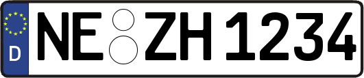 NE-ZH1234