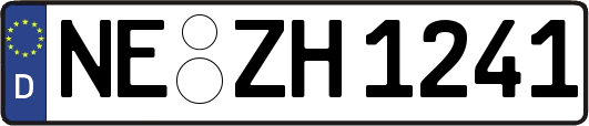 NE-ZH1241