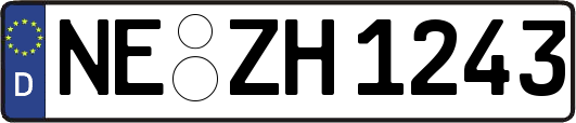 NE-ZH1243
