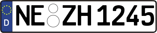 NE-ZH1245