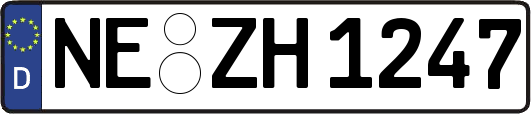NE-ZH1247