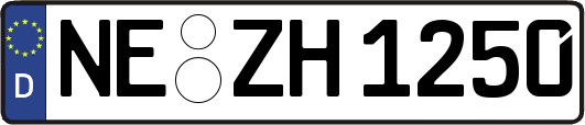NE-ZH1250