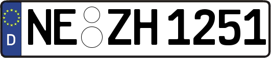 NE-ZH1251