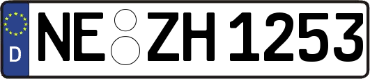 NE-ZH1253