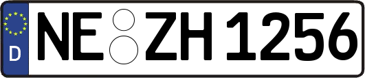 NE-ZH1256