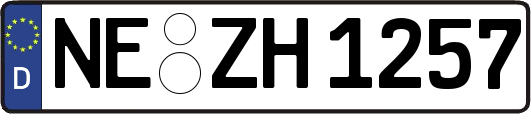 NE-ZH1257