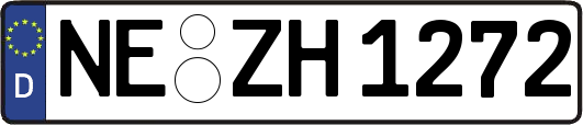 NE-ZH1272