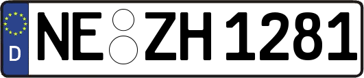 NE-ZH1281