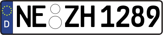 NE-ZH1289