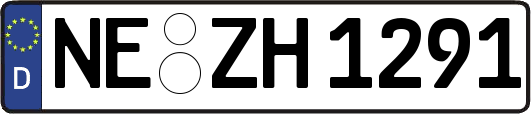 NE-ZH1291