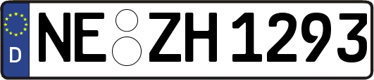 NE-ZH1293