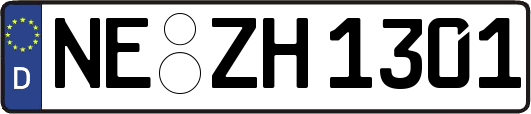 NE-ZH1301