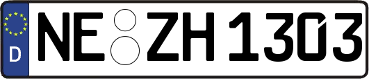 NE-ZH1303