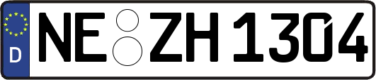NE-ZH1304