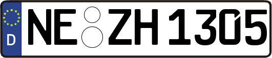 NE-ZH1305