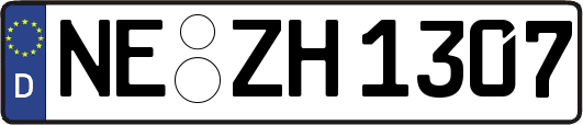 NE-ZH1307