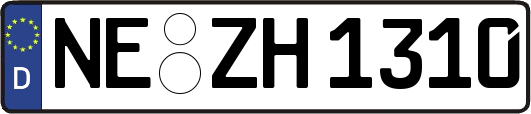 NE-ZH1310