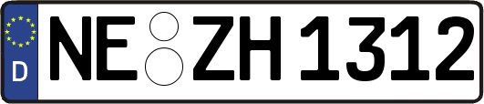 NE-ZH1312