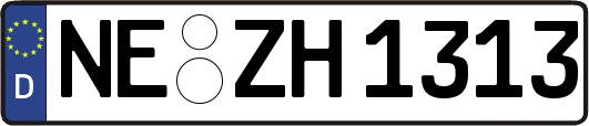 NE-ZH1313