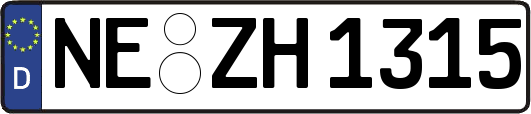 NE-ZH1315